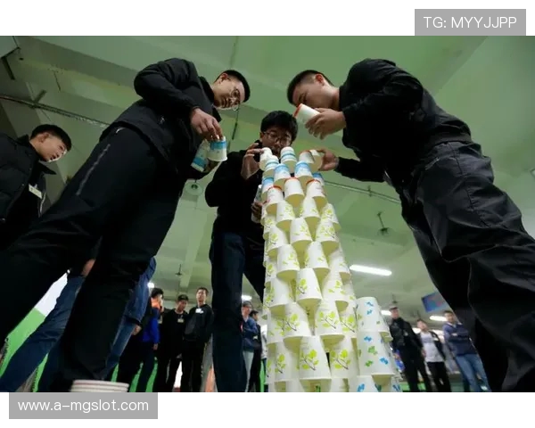 猫捉老鼠游戏是否可以在室内进行的详细探讨与注意事项